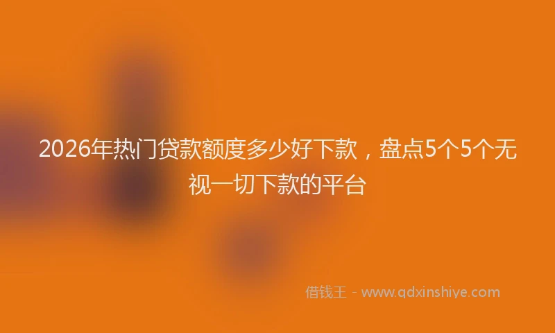 2026年热门贷款额度多少好下款，盘点5个5个无视一切下款的平台