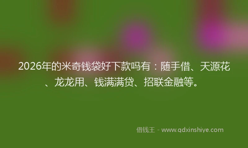 2026年的米奇钱袋好下款吗有:随手借、天源花、龙龙用、钱满满贷、招联金融等。