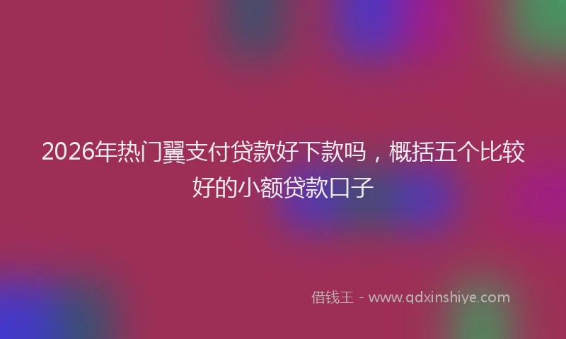 2026年热门翼支付贷款好下款吗，概括五个比较好的小额贷款口子
