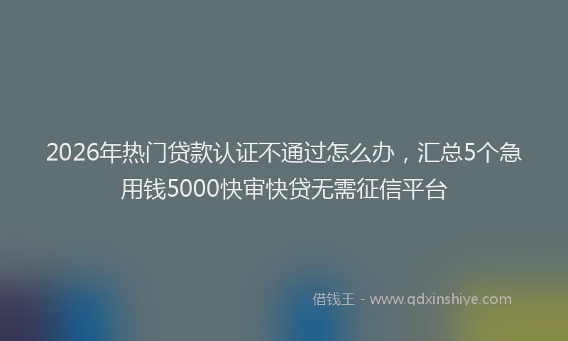 2026年热门贷款认证不通过怎么办，汇总5个急用钱5000快审快贷无需征信平台