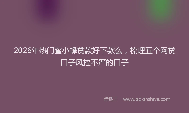 2026年热门蜜小蜂贷款好下款么，梳理五个网贷口子风控不严的口子