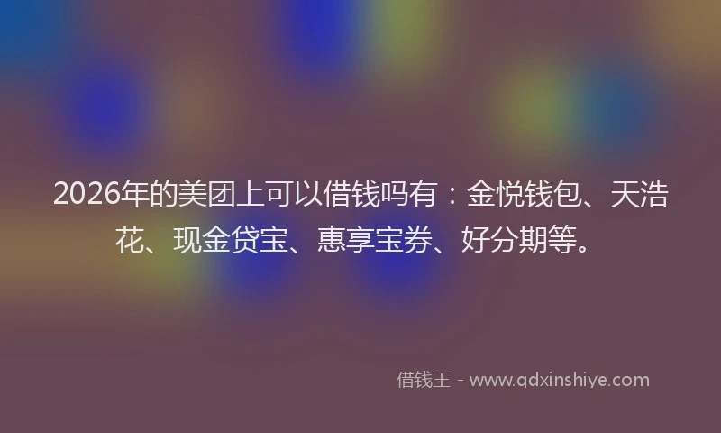 2026年的美团上可以借钱吗有：金悦钱包、天浩花、现金贷宝、惠享宝券、好分期等。
