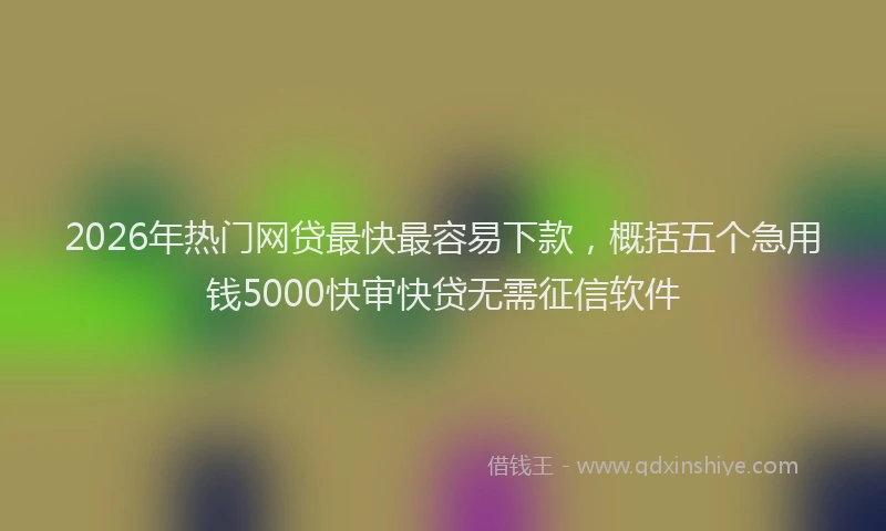 2026年热门网贷最快最容易下款，概括五个急用钱5000快审快贷无需征信软件