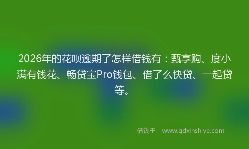 2026年的花呗逾期了怎样借钱有:甄享购、度小满有钱花、畅贷宝Pro钱包、借了么快贷、一起贷等。