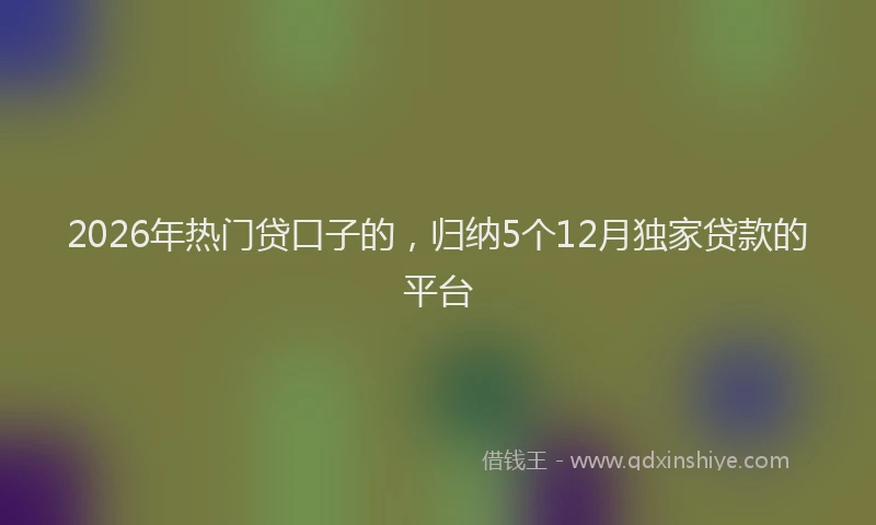 2026年热门贷口子的，归纳5个12月独家贷款的平台
