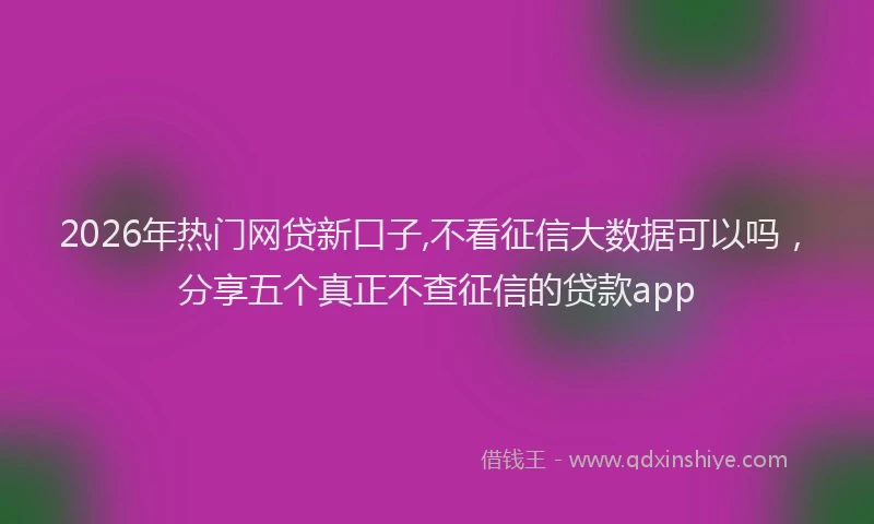 2026年热门网贷新口子,不看征信大数据可以吗，分享五个真正不查征信的贷款app
