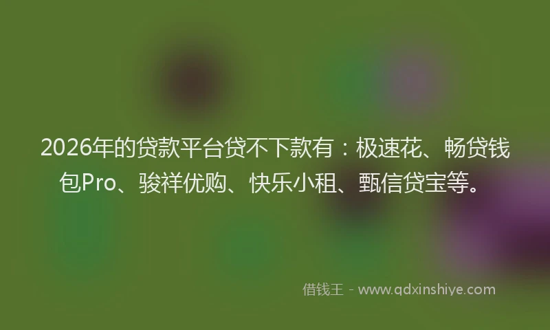 2026年的贷款平台贷不下款有：极速花、畅贷钱包Pro、骏祥优购、快乐小租、甄信贷宝等。