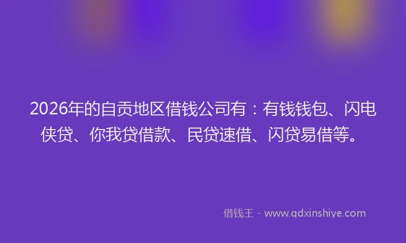 2026年的自贡地区借钱公司有：有钱钱包、闪电侠贷、你我贷借款、民贷速借、闪贷易借等。