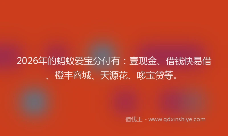 2026年的蚂蚁爱宝分付有：壹现金、借钱快易借、橙丰商城、天源花、哆宝贷等。