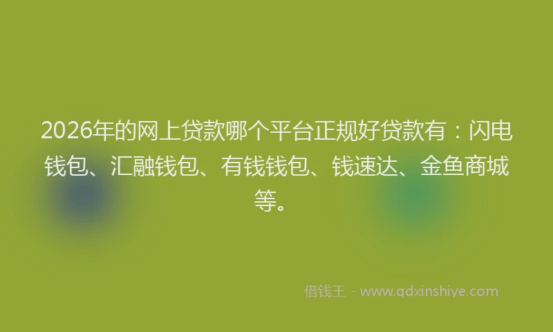 2026年的网上贷款哪个平台正规好贷款有：闪电钱包、汇融钱包、有钱钱包、钱速达、金鱼商城等。