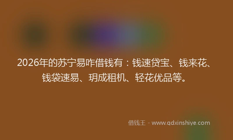 2026年的苏宁易咋借钱有:钱速贷宝、钱来花、钱袋速易、玥成租机、轻花优品等。