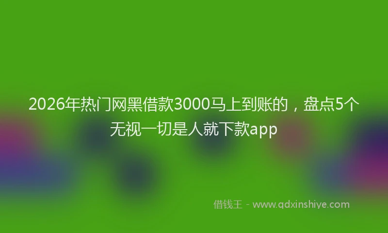 2026年热门网黑借款3000马上到账的，盘点5个无视一切是人就下款app
