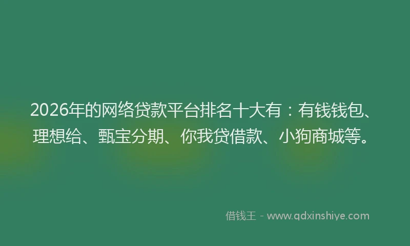 2026年的网络贷款平台排名十大有：有钱钱包、理想给、甄宝分期、你我贷借款、小狗商城等。