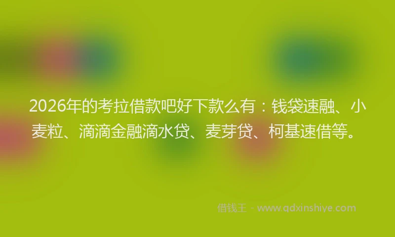 2026年的考拉借款吧好下款么有：钱袋速融、小麦粒、滴滴金融滴水贷、麦芽贷、柯基速借等。