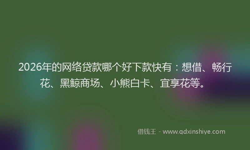 2026年的网络贷款哪个好下款快有：想借、畅行花、黑鲸商场、小熊白卡、宜享花等。