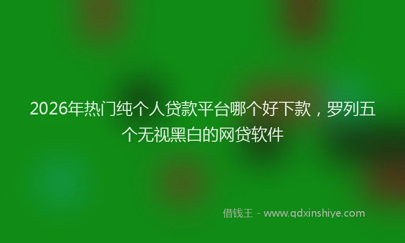 2026年热门纯个人贷款平台哪个好下款，罗列五个无视黑白的网贷软件