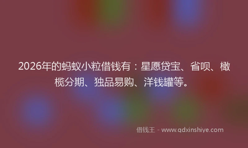 2026年的蚂蚁小粒借钱有：星愿贷宝、省呗、橄榄分期、独品易购、洋钱罐等。