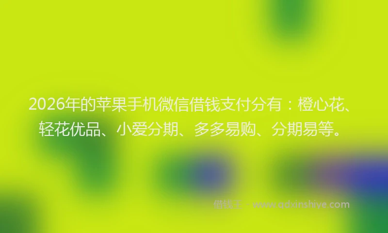 2026年的苹果手机微信借钱支付分有：橙心花、轻花优品、小爱分期、多多易购、分期易等。
