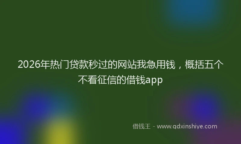 2026年热门贷款秒过的网站我急用钱，概括五个不看征信的借钱app
