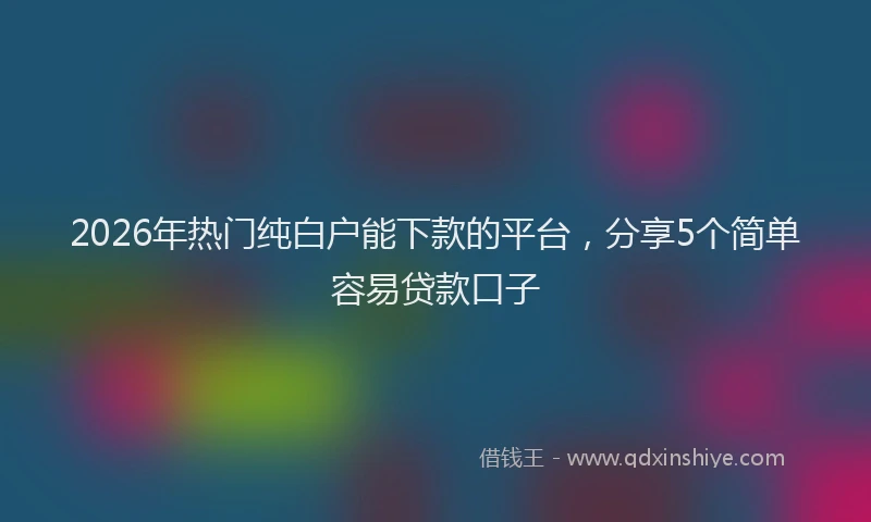 2026年热门纯白户能下款的平台，分享5个简单容易贷款口子