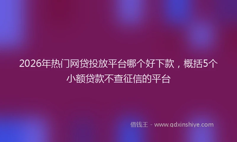 2026年热门网贷投放平台哪个好下款,概括5个小额贷款不查征信的平台