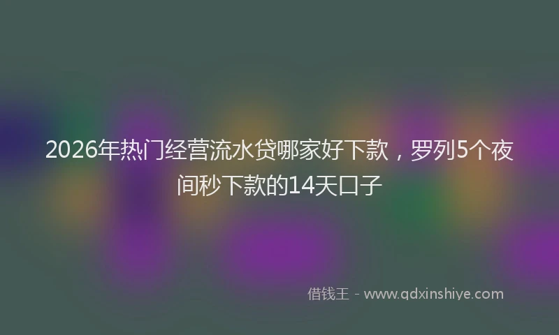 2026年热门经营流水贷哪家好下款，罗列5个夜间秒下款的14天口子