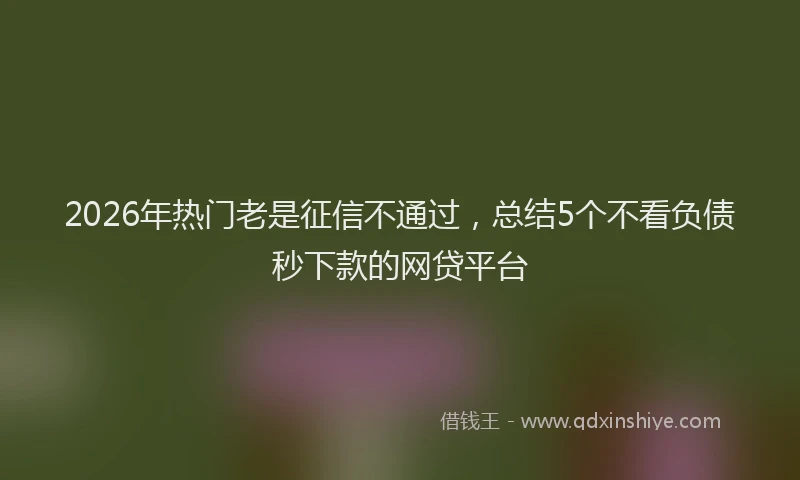 2026年热门老是征信不通过，总结5个不看负债秒下款的网贷平台