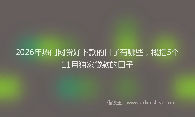 2026年热门网贷好下款的口子有哪些，概括5个11月独家贷款的口子