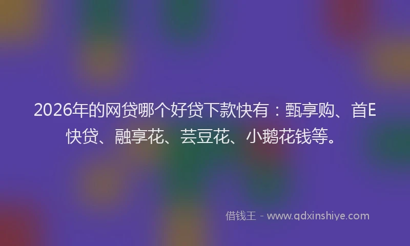 2026年的网贷哪个好贷下款快有：甄享购、首E快贷、融享花、芸豆花、小鹅花钱等。