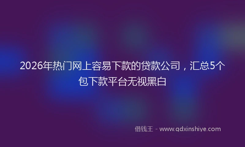 2026年热门网上容易下款的贷款公司，汇总5个包下款平台无视黑白