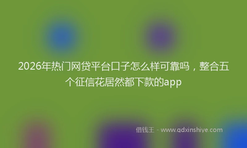 2026年热门网贷平台口子怎么样可靠吗，整合五个征信花居然都下款的app