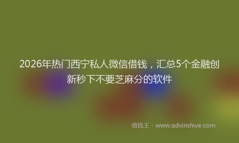 2026年热门西宁私人微信借钱，汇总5个金融创新秒下不要芝麻分的软件