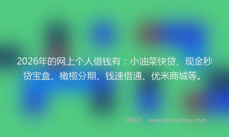 2026年的网上个人借钱有：小油菜快贷、现金秒贷宝盒、橄榄分期、钱速借通、优米商城等。