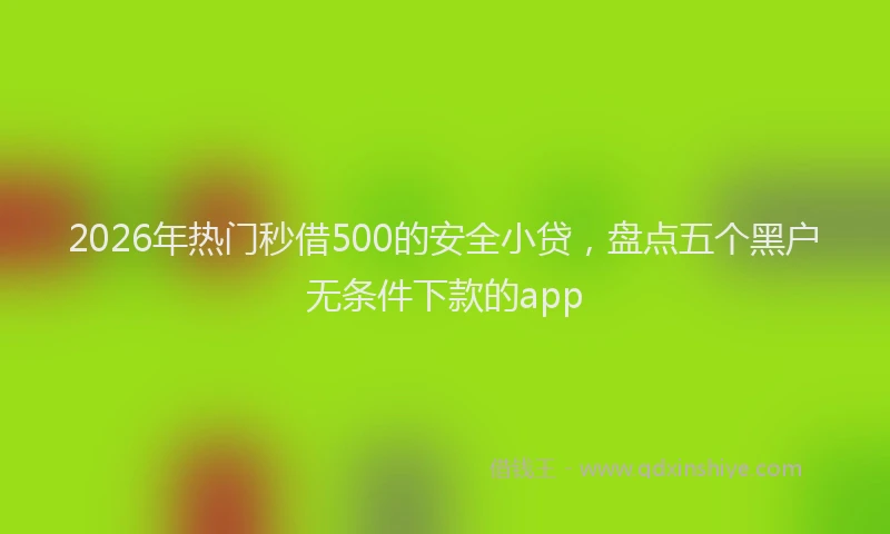 2026年热门秒借500的安全小贷，盘点五个黑户无条件下款的app