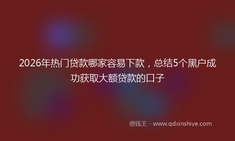 2026年热门贷款哪家容易下款，总结5个黑户成功获取大额贷款的口子