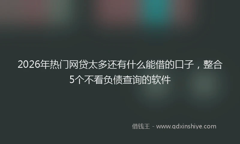 2026年热门网贷太多还有什么能借的口子，整合5个不看负债查询的软件