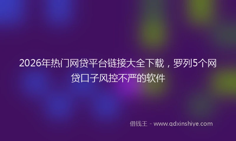 2026年热门网贷平台链接大全下载，罗列5个网贷口子风控不严的软件