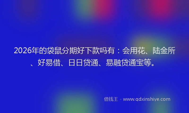 2026年的袋鼠分期好下款吗有：会用花、陆金所、好易借、日日贷通、易融贷通宝等。