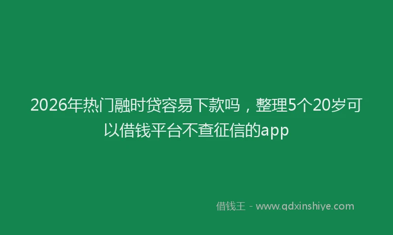 2026年热门融时贷容易下款吗，整理5个20岁可以借钱平台不查征信的app