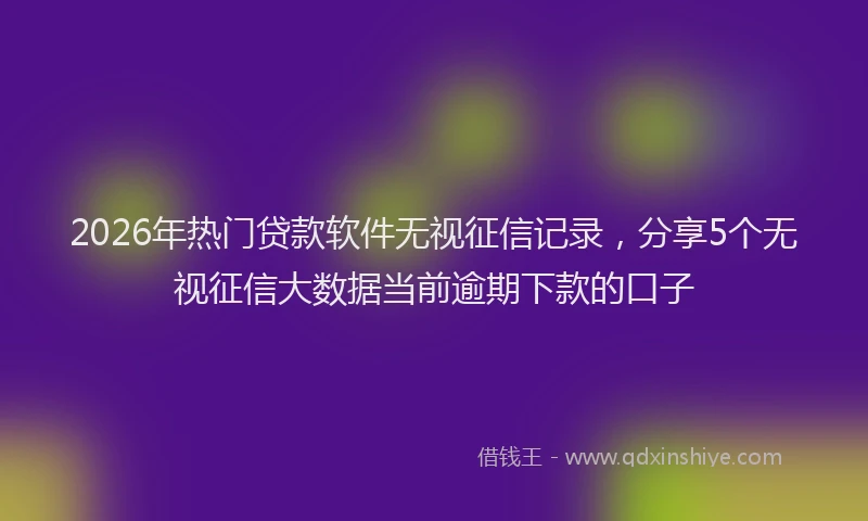 2026年热门贷款软件无视征信记录，分享5个无视征信大数据当前逾期下款的口子