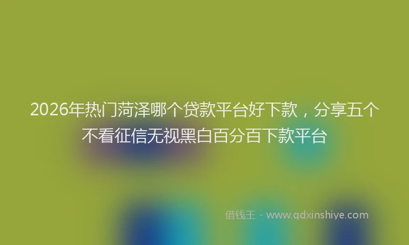2026年热门菏泽哪个贷款平台好下款,分享五个不看征信无视黑白百分百下款平台