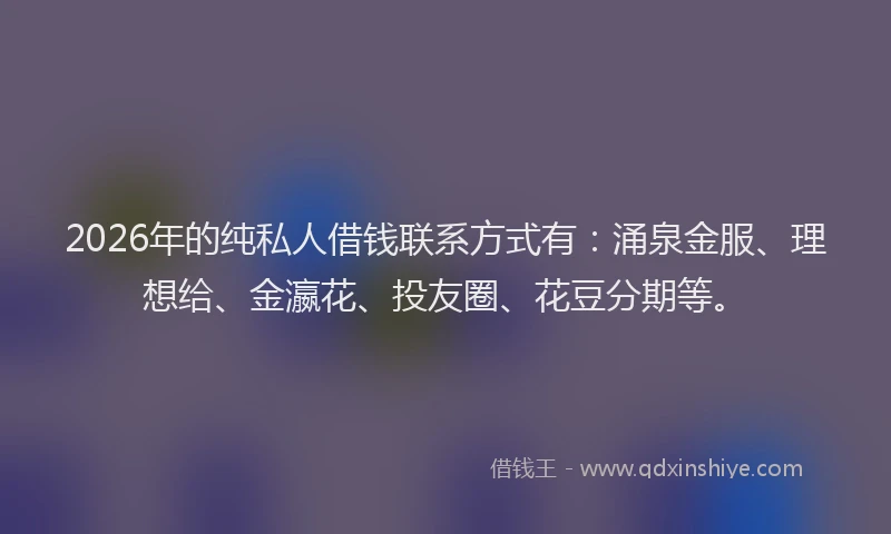 2026年的纯私人借钱联系方式有：涌泉金服、理想给、金瀛花、投友圈、花豆分期等。