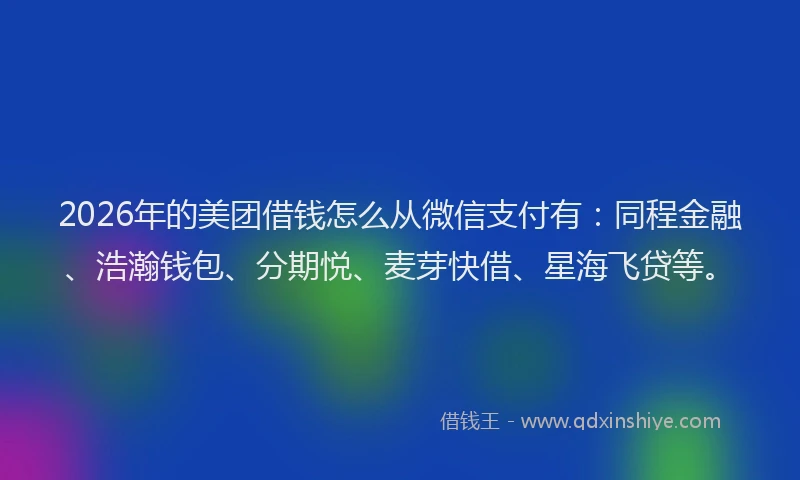 2026年的美团借钱怎么从微信支付有:同程金融、浩瀚钱包、分期悦、麦芽快借、星海飞贷等。