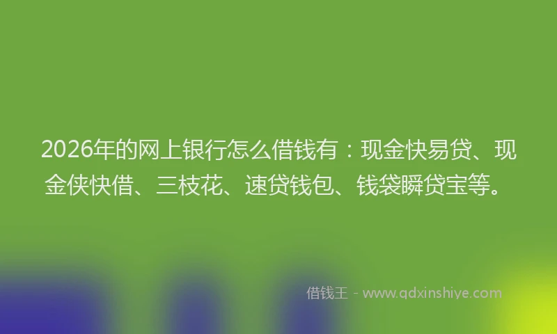 2026年的网上银行怎么借钱有:现金快易贷、现金侠快借、三枝花、速贷钱包、钱袋瞬贷宝等。