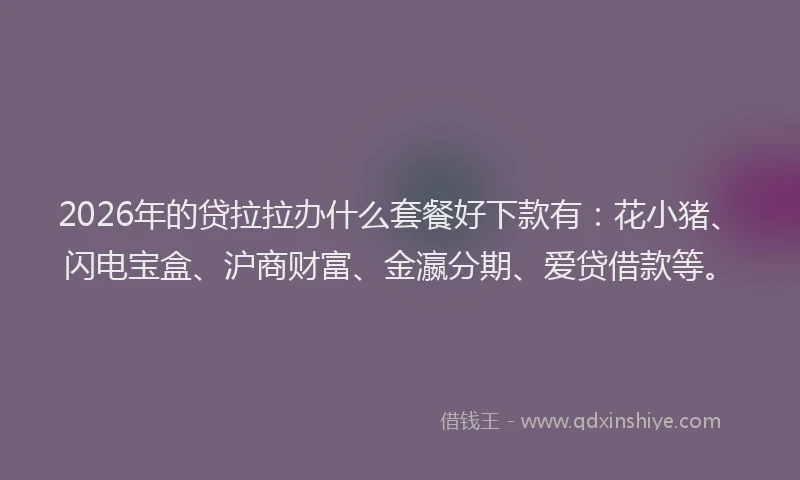 2026年的贷拉拉办什么套餐好下款有：花小猪、闪电宝盒、沪商财富、金瀛分期、爱贷借款等。