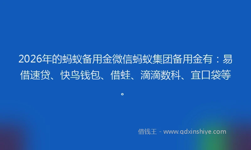 2026年的蚂蚁备用金微信蚂蚁集团备用金有：易借速贷、快鸟钱包、借蛙、滴滴数科、宜口袋等。