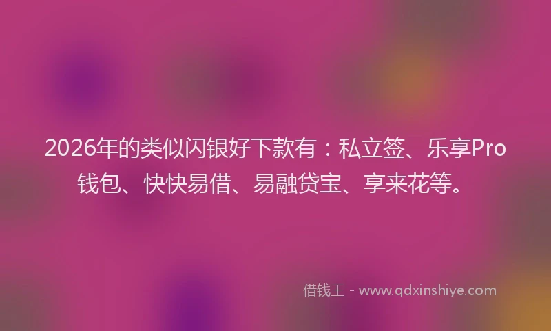 2026年的类似闪银好下款有：私立签、乐享Pro钱包、快快易借、易融贷宝、享来花等。
