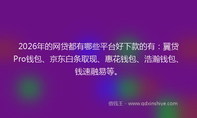 2026年的网贷都有哪些平台好下款的有：翼贷Pro钱包、京东白条取现、惠花钱包、浩瀚钱包、钱速融易等。