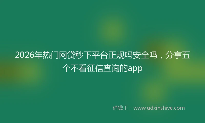 2026年热门网贷秒下平台正规吗安全吗，分享五个不看征信查询的app