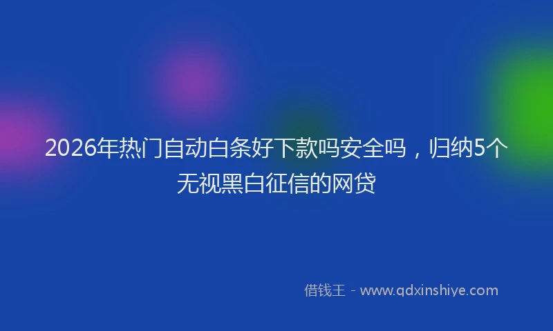 2026年热门自动白条好下款吗安全吗，归纳5个无视黑白征信的网贷